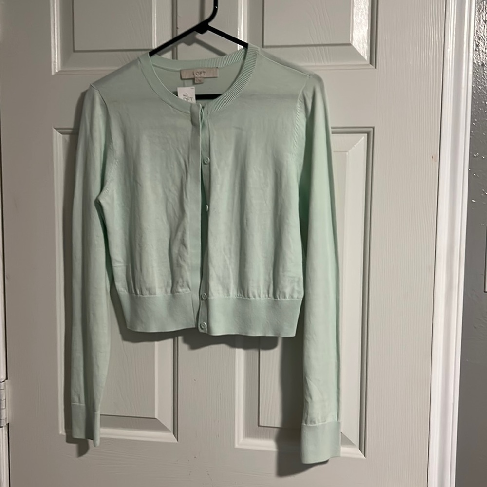 Loft sweater nwt
